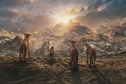 Loading Mufasa The Lion King Pics 2 -    2  :   ...