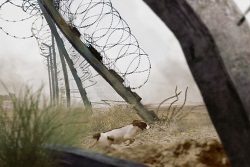 Loading Of Dogs and Men Pics 2 -  ����� ���� 2 ����� �� ����� ������ ...
