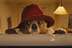 Loading Paddington Pics 1 -    1    () ...