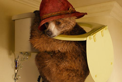 Loading Paddington Pics 4 -    4    ...