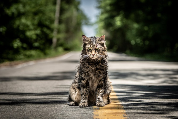 Loading Pet Sematary Pics 1 -    1     ...