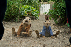 Loading Peter Rabbit Pics 3 -  תמונה מספר 3 מהסרט פיטר ראביט ...