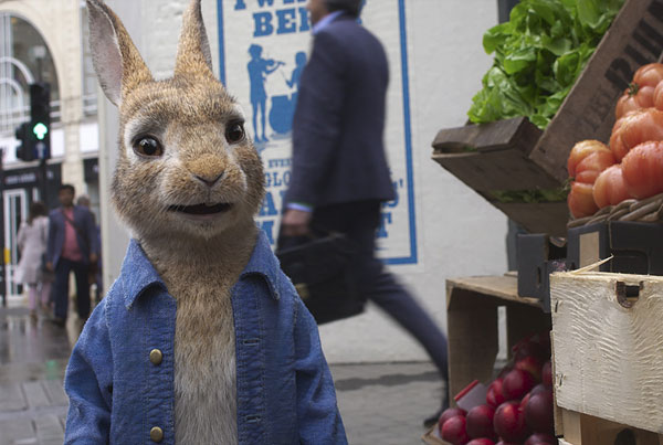 Loading Peter Rabbit 2 Pics 1 -  תמונה מספר 1 מהסרט פיטר ראביט 2 (מדובב) ...