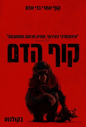 Primate