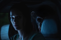 Loading Primate Pics 2 -  ����� ���� 2 ����� ��� ��� ...