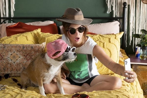 Loading Puppy Love Pics 1 -    1     ...
