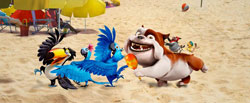 Loading Rio 2 Pics 3 -    3   2 ( ) ...