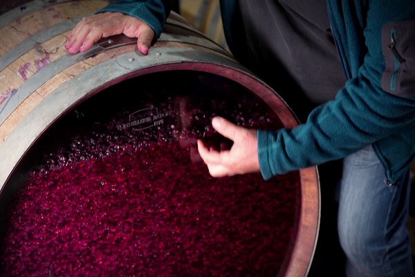 Loading Rioja The land of a thousand wines Pics 1 -    1  :    ...