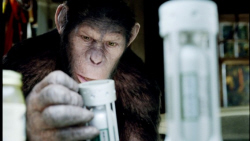 Loading Rise of the Planet of the Apes Pics 1 -    1   :  ...