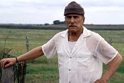 Loading Secondhand Lions Pics 4 -  ����� ���� 4 ����� ����� �� ����� ...