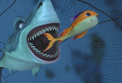 Loading Sharkbait Pics 1 -  ����� ���� 1 ����� ���� ���� (�����) ...