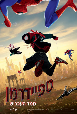 Spider Man Into the Spider Verse -   : :  