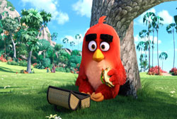 Loading The Angry Birds Movie Pics 1 -  תמונה מספר 1 מהסרט אנגרי בירדס: הסרט ...