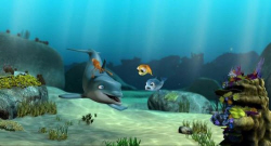 Loading The Dolphin Story of a Dreamer Pics 3 -    3     ...