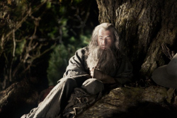 Loading The Hobbit: An Unexpected Journey Pics 2 -  תמונה מספר 2 מהסרט ההוביט: מסע בלתי צפוי ...