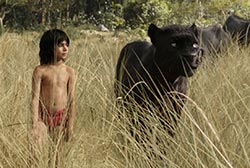 Loading The Jungle Book Pics 4 -  תמונה מספר 4 מהסרט ספר הג'ונגל (מדובב | תלת מימד | 4DX) ...