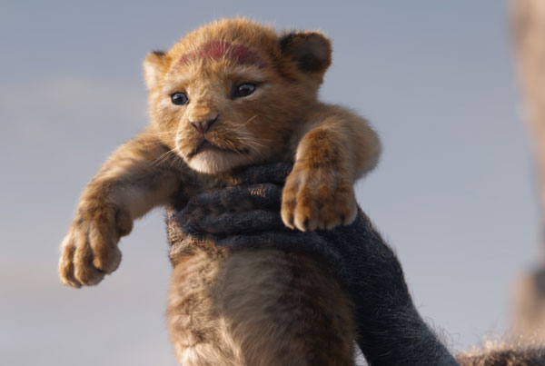 Loading The Lion King 2019 Pics 1 -  תמונה מספר 1 מהסרט מלך האריות (מדובב | תלת מימד | 4DX) ...