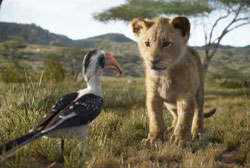 Loading The Lion King 2019 Pics 3 -    3    (  | IMAX) ...