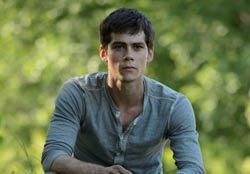 Loading The Maze Runner Pics 5 -    5    (IMAX) ...