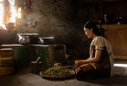 Loading The Monk And The Gun Pics 3 -    3    ...