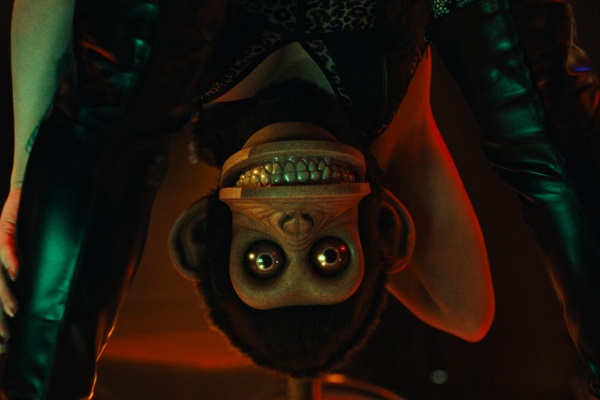 Loading The Monkey Pics 1 -    1   ...