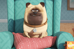 Loading The Secret Life of Pets Pics 1 -    1       ( ) ...