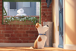 Loading The Secret Life of Pets Pics 4 -    4       ( ) ...