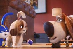 Loading The Secret Life of Pets 2 Pics 2 -    2       2 ...