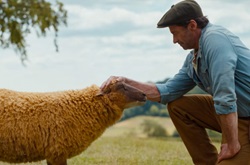 Loading The Sheep Detectives Pics 3 -  ����� ���� 3 ����� ���� ���� ...