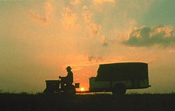 The Straight Story Pics 1 -  ����� ���� 1 ����� ����� ���� ...