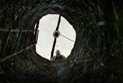 Loading The Wild Pear Tree Pics 2 -    2     ...