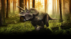 Loading Walking with Dinosaurs 3D Pics 3 -  תמונה מספר 3 מהסרט ללכת בין דינוזאורים (מדובב) ...
