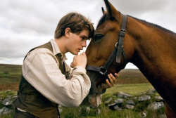 Loading War Horse Pics 2 -    2    ...