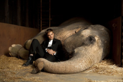 Loading Water For Elephants Pics 1 -    1    ...