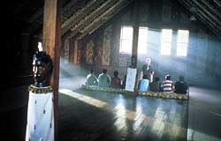 Loading Whale Rider Pics 4 -  ����� ���� 4 ����� ���� �� ������� ...