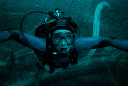 Loading Whalefall Pics 4 -  ����� ���� 4 ����� ����� ������� ...