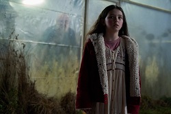 Loading Wolf Man Pics 2 -    2    ...