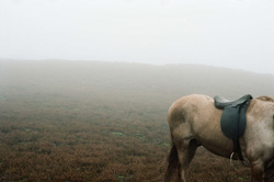 Loading Wuthering Heights Pics 4 -    4    ...