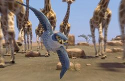 Loading Zambezia Pics 1 -    1   () ...