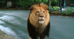 Loading Zookeeper Pics 5 -    5     ...