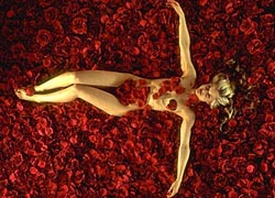 American Beauty Pics 3 -  ����� ���� 3 ����� ������ ����� ...