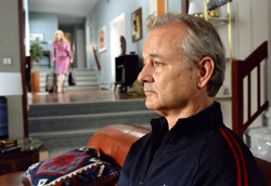 Loading Broken Flowers Pics 1 -  ����� ���� 1 ����� ����� ������ ...