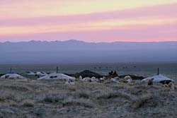 Loading The Story of the Weeping Camel Pics 1 -  ����� ���� 1 ����� ����� �� ��� ...