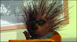 Chicken Little Pics 3 -  ����� ���� 3 ����� �'��� ���� ...