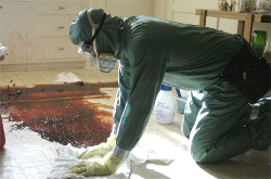 Loading Cleaner Pics 1 -  ����� ���� 1 ����� ����� ...