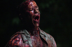 Loading Day of the Dead Pics 3 -    3    ...