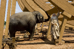 Loading Evan Almighty Pics 1 -  ����� ���� 1 ����� ���� �� ���� ...