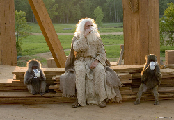 Loading Evan Almighty Pics 3 -  ����� ���� 3 ����� ���� �� ���� ...