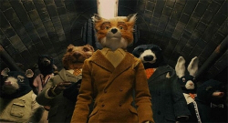Loading Fantastic Mr. Fox Pics 2 -  ����� ���� 2 ����� Fantastic Mr. Fox ...