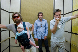 The Hangover Pics 2 -  ����� ���� 2 ����� ���� ������ ������ ����� ...